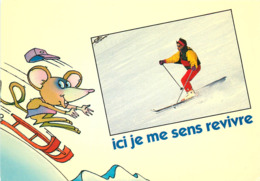 Sports D'hiver - Ski - Illustrateur - Animaux - Souris - Création J.C. Rousseau - Asphodèle - Moderne Grand Format -état - Deportes De Invierno