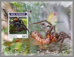 MOZAMBIQUE 2019 MNH Spiders Spinnen Araignees S/S - IMPERFORATED - DH1941 - Spinnen