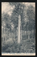 MONT DE L'ENCLUS -  ORROIR - ROUTE DE L'ENFER - Kluisbergen