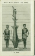 SOLOMON ISLANDS / ILES SALOMON - UN REQUIN - MISSION MARISTES D'OCEANIE - 1910s (BG4884) - Salomoninseln
