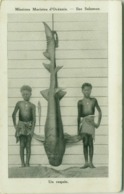 SOLOMON ISLANDS / ILES SALOMON - UN REQUIN - MISSION MARISTES D'OCEANIE - 1910s (BG4884) - Salomon