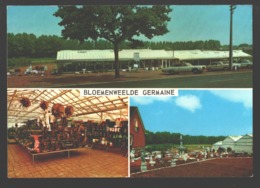 Aarschot - Bloemenweelde Germaine - Multiview - Classic Cars - Aarschot