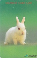 Carte Prépayée Japon - ANIMAL - LAPIN - RABBIT Japan Prepaid Highway Card - KANINCHEN - KONIJN - CONEJO - HW 290 - Rabbits