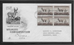 Thème Animaux - Antilope - Etats Unis - Enveloppe - Other & Unclassified