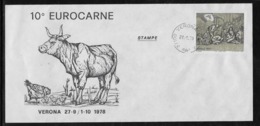 Thème Animaux - Vache - Italie - Enveloppe - Vaches