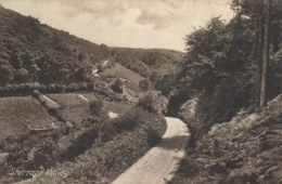 FRITHS PC: STERRAGE VALLEY, BERRYNARBOR Nr ILFRACOMBE, DEVON ~ Pu1914 Fr Combe Martin - Ilfracombe