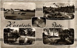 CPA AK Gruss Aus Hassloch GERMANY (898757) - Hassloch