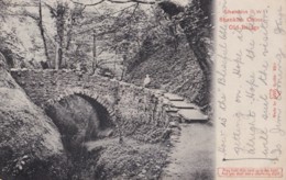 AM56 Shanklin Chine, Old Bridge  - C1904 Hold To Light Postcard - Other