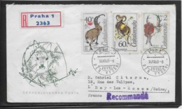 Thème Animaux - Cerf - Tchécoslovaquie - Enveloppe - Other & Unclassified