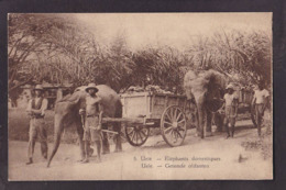 CPA éléphant UELE Congo Non Circulé Attelage - Elefanti