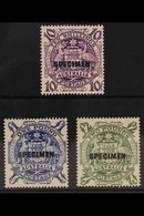 1949-50 HIGH VALUE SPECIMENS. 10s, £1 And £2 Coat Of Arms "SPECIMEN" Overprinted Set Complete, SG 224bs/ds, Never Hinged - Altri & Non Classificati