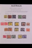 AUSTRALIAN STATES OFFICIAL PERFINS & OVERPRINTS 1870's-1960's FASCINATING USED COLLECTION On Leaves, Includes NEW SOUTH  - Otros & Sin Clasificación