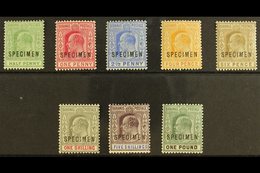 1902-06 Ed VII Set To £1 Plus 1906 ½d Green, Overprinted "Specimen", SG 62s-70s, 71s, Very Fine And Fresh Mint. (8 Stamp - Andere & Zonder Classificatie