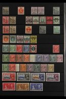 1885-1966 INTERESTING MINT COLLECTION On Stock Pages, ALL DIFFERENT, Includes 1885-87 ½d Wmk CA, 1891 Set, 1891-94 Set,  - Other & Unclassified