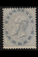 1883 20c Blue-grey King (COB 39, SG 64, Michel 36), Never Hinged Mint, Lightly Toned Gum, Centred To Top, Good Colour. F - Altri & Non Classificati