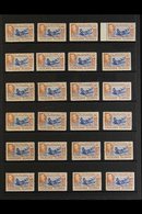 1938-50 5s "SEALION" SHADES ACCUMULATION CAT £2875+ A Stock Page Bearing 24 Fine Mint Examples Of The Pictorial 5s "Sout - Islas Malvinas