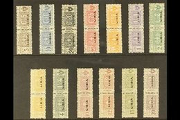 LIBYA PARCEL POST 1915-24 Overprints Complete Set (Sassone 1/13, SG P17/29), Never Hinged Mint Horizontal Pairs, Fresh & - Other & Unclassified