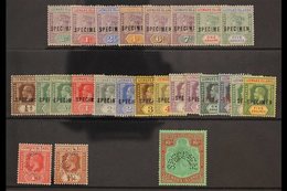 SPECIMENS Fresh Mint Selection With 1890 Set Of 8 (SG 1s/8s), 1921 Geo VI Vals To 5s, 1938 Geo VI 10s (SG 113s). (25 Sta - Leeward  Islands