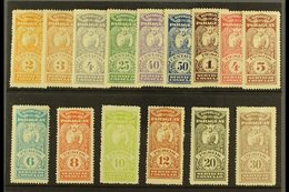 REVENUE STAMPS CONSULAR SERVICE 1900 (inscribed "Servicio Consular") Most Values To 30p (between Forbin 1 & 18) Includin - Paraguay