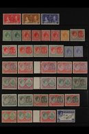 1937-1952 COMPLETE FINE MINT COLLECTION On Stock Pages, Includes 1938-50 Set With Many Shades, Perf & Paper Types Incl 2 - St.Kitts En Nevis ( 1983-...)