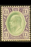 TRANSVAAL 1904-09 £1 Green & Violet, Wmk Mult Crown CA, Chalk-surfaced Paper, SG 272a, Very Fine Mint. For More Images,  - Unclassified