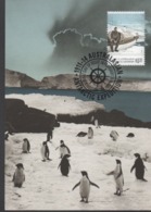 3446   Maxima Australasian 2014, Antarctic Expedition  .pinguinos, Manchots,, Penguins, - Maximumkaarten