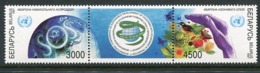BELARUS 1997 Conference On Developing Countries MNH / **.  Michel 222-23 - Belarus