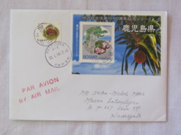 Japan 2014 Cover To Nicaragua - Flowers Fruits - Lettres & Documents