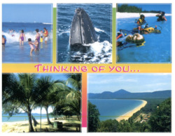 (ED 28) Australia - QLD - Thinking Of You... - Sunshine Coast