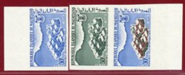 Mauritania 1967 #222, Color Proof X3, 10th Winter Olympic Games - Schalentiere