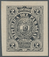 Paraguay: 1884-86, Third "lion" Issue, Specialised Collection On Album Pages Comprising Full Sheets - Paraguay