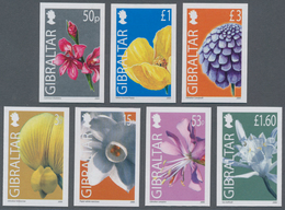 Gibraltar: 2004/2006. Wildflowers: The Complete Set (13 Values) And Also The Complete Additional Set - Gibraltar