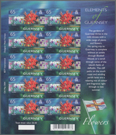 Großbritannien - Guernsey: 2004, 65 P. "Europe - Tourism - Holidays Fauna And Flora", Mint Never Hin - Guernesey