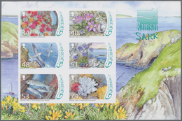 Großbritannien - Guernsey: 2008. IMPERFORATE Souvenir Sheet For The Issue "International Convention - Guernsey