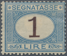 Italien - Portomarken: 1870, Postage Due 1 Lira Blue/brown In Fresh Color With Perfect Perforation A - Impuestos