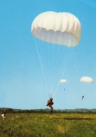 PARACHUTISME... - Paracadutismo