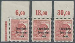 Sowjetische Zone - Allgemeine Ausgaben: 1945; Maschinenaufdruck 60 Pf. Karminrot, Partie Mit Drei Po - Other & Unclassified