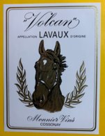 12023 - Volcan Lavaux Suisse - Horses