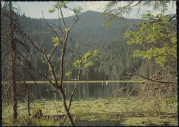 D-94252 Bayer Eisenstein - Arbersee , Blick Gegen Gr. Arber (60er Jahre) - Bodenmais