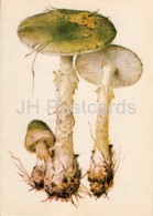 Death Cap - Amanita Phalloides - Illustration By A. Shipilenko - Mushrooms - 1976 - Russia USSR - Unused - Paddestoelen