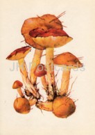 Weeping Bolete Mushroom - Suillus Granulatus - Illustration By A. Shipilenko - Mushrooms - 1976 - Russia USSR - Unused - Champignons