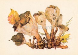 Common Funnel Mushroom - Clitocybe - Illustration By A. Shipilenko - Mushrooms - 1976 - Russia USSR - Unused - Mushrooms