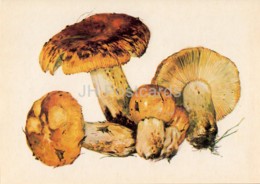 Stinking Russula - Russula Foetens - Illustration By A. Shipilenko - Mushrooms - 1976 - Russia USSR - Unused - Mushrooms