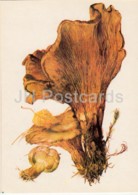 Brown Roll-rim Mushroom - Paxillus Involutus - Illustration By A. Shipilenko - Mushrooms - 1976 - Russia USSR - Unused - Funghi