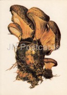 Velvet Roll-rim Mushroom - Suillus Grevillei - Illustration By A. Shipilenko - Mushrooms - 1976 - Russia USSR - Unused - Mushrooms