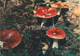 Russula - Mushrooms - 1980 - Russia USSR - Unused - Mushrooms