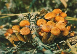 Honey Fungus - Armillaria - Mushrooms - 1980 - Russia USSR - Unused - Mushrooms