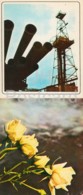 Neftyanye Kamni - Neft Daslari - New Oil Rig - Flowers - 1975 - Azerbaijan USSR - Unused - Azerbaiyan