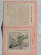 Ancien Protège Cahier - Série Les  Oiseaux - Collections, Lots & Series