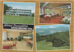 AK Siedelsbrunn Odenwald Hotel Cafe Restaurant Pension Tannenblick A Wald Michelbach Abtsteinach Kreidach Mackenheim - Odenwald